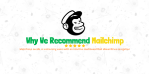 Read more about the article Why We Recommend Mailchimp to Help you Manage your Email Marketing in 2024