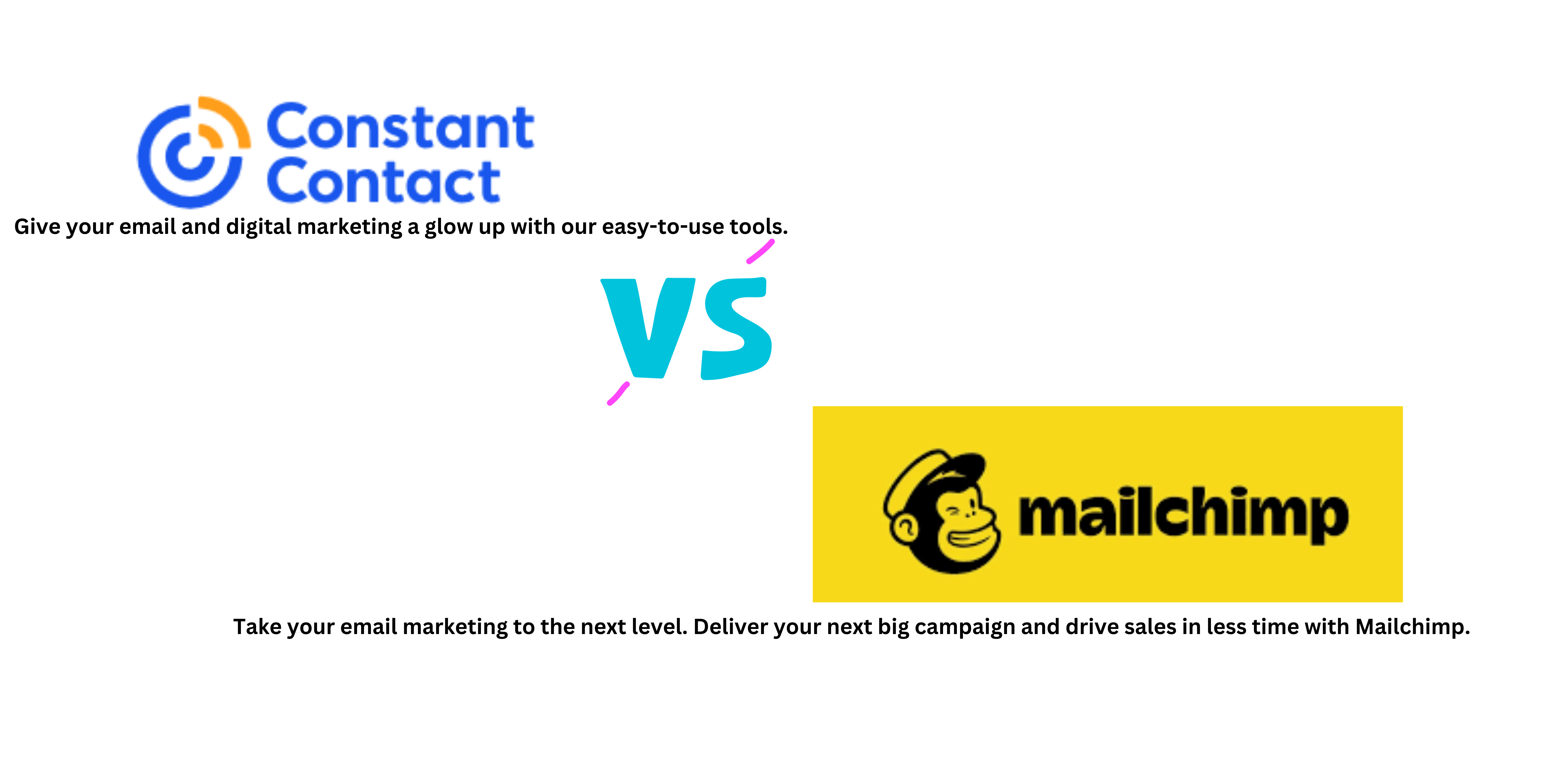 Read more about the article Constant Contact vs Mailchimp: Decoding the Best Email Marketing Solution in 2024?